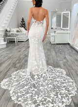 Trumpet Mermaid Fitted V Neck Sleeveless Backless Sexy Tulle Wedding Dresses Appliques Lace-Dbrbridal