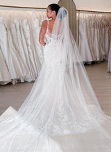 Trumpet Mermaid Fitted V Neck Sleeveless Lace Tulle Wedding Dresses Appliques Lace-Dbrbridal