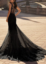 Trumpet Mermaid Fitted V Neck Sleeveless Tulle Wedding Dresses Appliques Lace-Dbrbridal