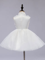White Pageant Tutu Dress With Lace Flower Applique flower girl dress-Dbrbridal