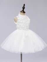 White Pageant Tutu Dress With Lace Flower Applique flower girl dress-Dbrbridal