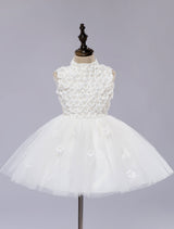 White Pageant Tutu Dress With Lace Flower Applique flower girl dress-Dbrbridal