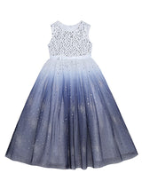 Blue Jewel Neck Sleeveless Polyester Tulle Lace Polyester Cotton Embroidered Kids Party Dresses