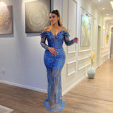 Charming V-Neck Long Sleeves Sheath Mermaid Lace Evening Party Gowns