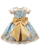 Jewel Neck Short Sleeves Embroidered Kids Social Party Dresses