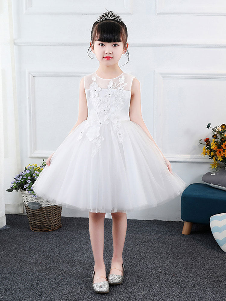 Jewel Neck Sleeveless Embroidered Kids Social Party Dresses