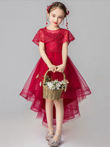 Jewel Neck Tulle Sleeveless Asymmetrical Princess Embroidered Kids Party Dresses