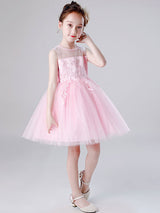 Jewel Neck Tulle Sleeveless Short Princess Embroidered Kids Social Party Dresses
