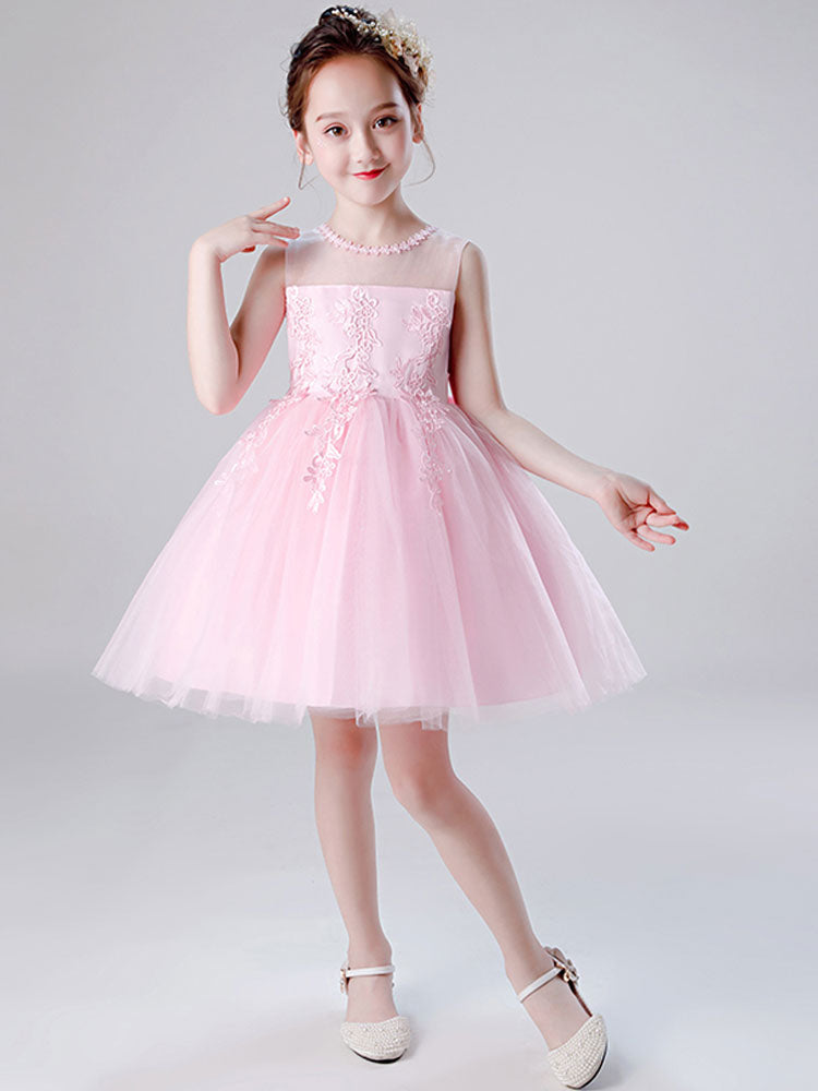Jewel Neck Tulle Sleeveless Short Princess Embroidered Kids Social Party Dresses