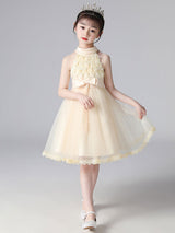 Pink Halter Neck Lace Sleeveless Short Princess Dress Bows Formal Kids Pageant flower girl dresses
