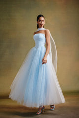 Dreamy Sky Blue Strapless Sleeveless Tulle Evening Dresses A-Line With Pleats