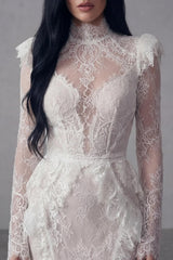 Graceful White High Collar Long Sleeves Lace Evening Dresses Mermaid Backless With Pleats