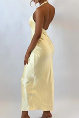 Chic Halter V-Neck Sleeveless Mermaid Evening Dresses Backless With Pleats