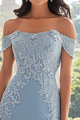 Timeless Sky Blue Off The Shoulder Chiffon Evening Dresses Mermaid Sheath With Pleats