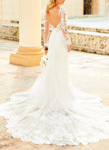 Elegant Lace Tulle Wedding Dresses Long Sleeves V-Neck-Dbrbridal