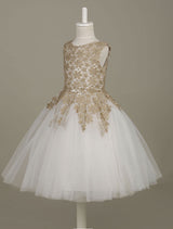 flower girl dress Lace Light Gold Tutu Dress Sleeveless A-line Short Toddler'S Pageant Dress