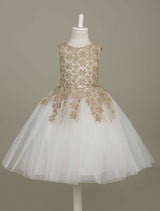 flower girl dress Lace Light Gold Tutu Dress Sleeveless A-line Short Toddler'S Pageant Dress