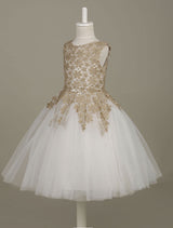 flower girl dress Lace Light Gold Tutu Dress Sleeveless A-line Short Toddler'S Pageant Dress-Dbrbridal
