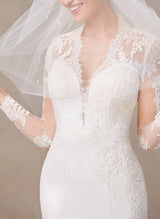 Trumpet Mermaid Fitted V-Neck Long Sleeve Wedding Dress Lace Appliques-Dbrbridal