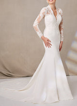 Trumpet Mermaid Fitted V-Neck Long Sleeve Wedding Dress Lace Appliques-Dbrbridal
